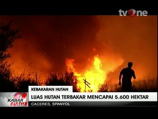 Download Video: 2.400 Warga Mengungsi Akibat Kebakaran Hutan di Spanyol