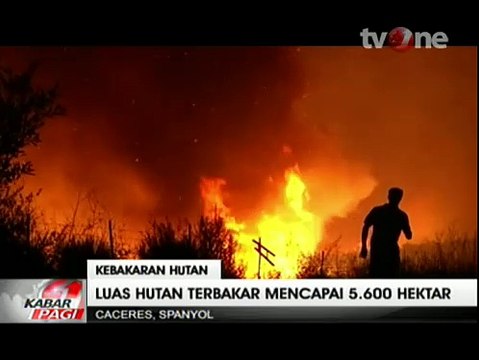 2.400 Warga Mengungsi Akibat Kebakaran Hutan di Spanyol