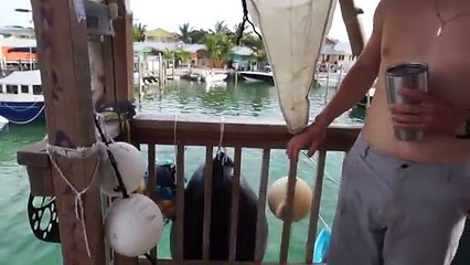 Island Hopping the Bahamas - Travel Vlog 1