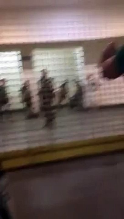 Emniyet Müdürlüğü açıkladı: Taraftarı darp eden polis açığa alındı