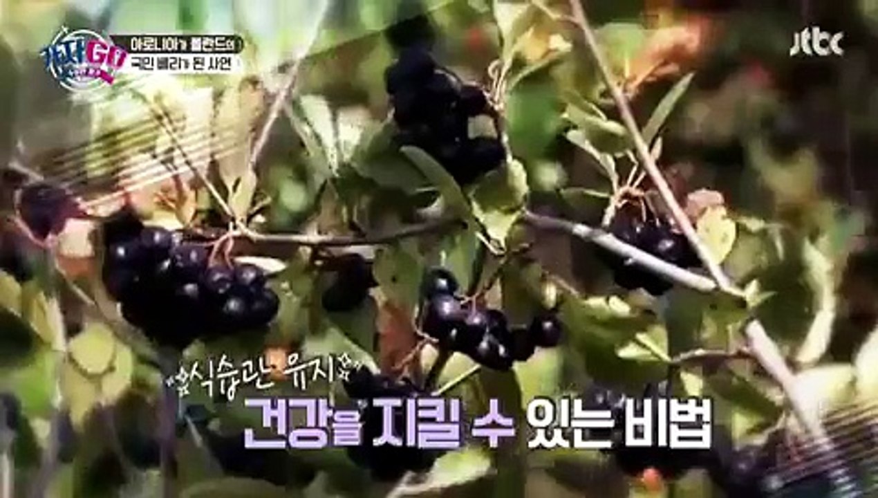 수상한 휴가 가자GO.E02.170531 -2