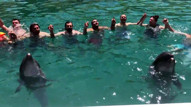 Muğla'da yunuslar vatandaşlarla birlikte horon tepti