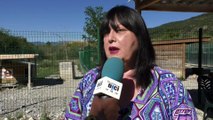 Hautes-Alpes: Abandon d'animaux, le désarroi de la présidente de la SPA sud-alpine