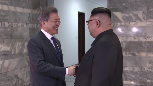 8월 말·9월 초 평양 정상회담 유력...靑 내일 합의 기대 / YTN