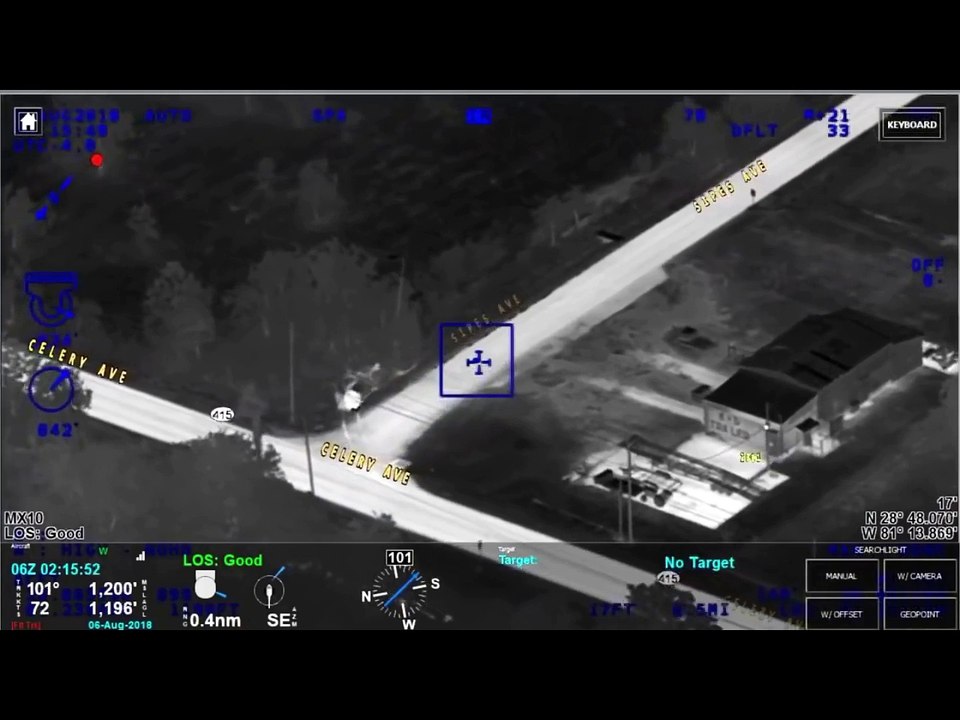 Un troupeau de vache aide la police à arrêter une voleuse de voiture