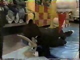 Double Dare (1988) - The Beach Bums vs. The Outrageous Ogres