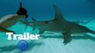 Sharkwater Extinction Trailer #1 (2018) Documentary Movie HD