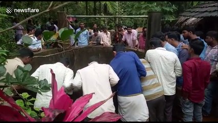 Snarling wild leopard rescued from welll