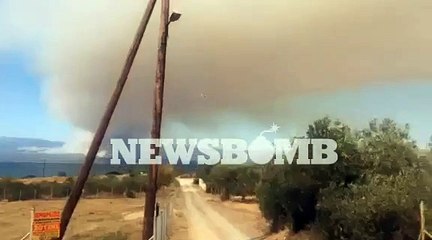 Φωτιά στην Εύβοια