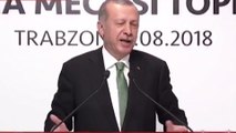 Erdoğan, Nazım Hikmet'in şiirini okudu
