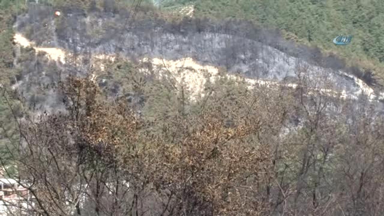 İzzettin Küçük &quot;Yangın Sigara İzmariti veya Cam Kırığından Çıkmış