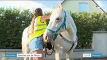 Initiatives : Inès ramasse les déchets avec son poney