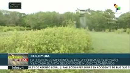 EEUU demanda a Colombia extremar medidas en el uso del glifosato