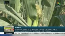 China ofrece subvenciones para la producción agrícola del país