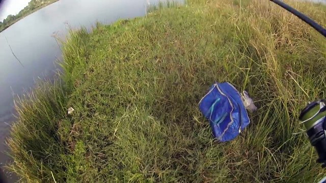 [Fishing In the river and pound ] Catching and hunting snakehead fishes by lure with fake bait