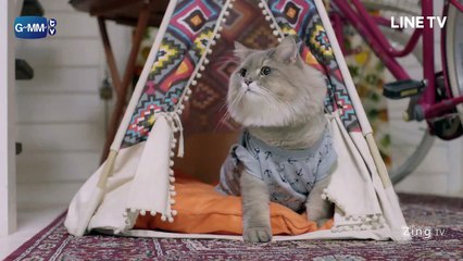 My Dear Loser Series Happy Ever After Ep3 - จะหาผัวทั้งทียังต้องลำบากพี่ 3 part 1/2