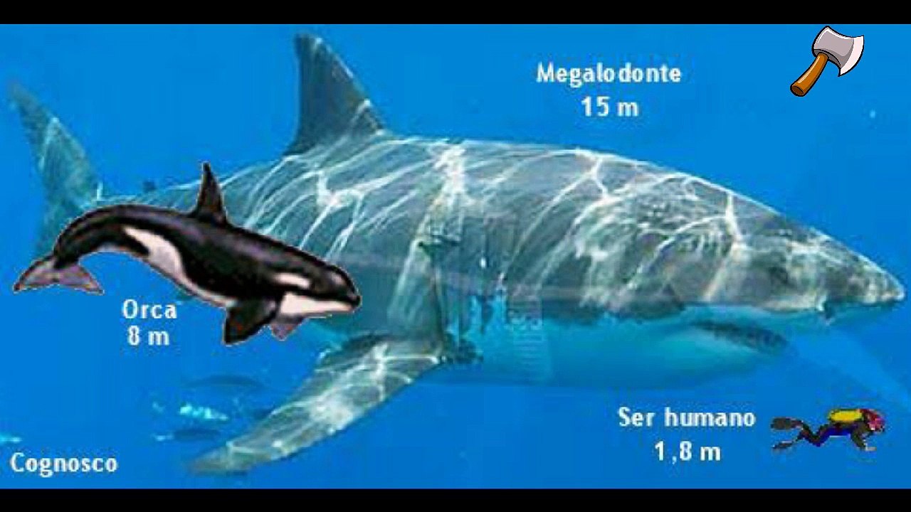 Deadliest Sea Creatures of all Time[U.P]