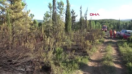 Kocaeli Arıcı Ateş Yaktı, Orman Yandı