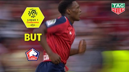 But Lebo MOTHIBA (45ème) / LOSC - Stade Rennais FC - (3-1) - (LOSC-SRFC) / 2018-19