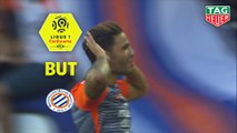 But Pedro MENDES (5ème) / Montpellier Hérault SC - Dijon FCO - (1-2) - (MHSC-DFCO) / 2018-19