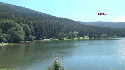 Bolu Nilüferlerin Açtığı Gölcük, Hafta Sonunda Doldu