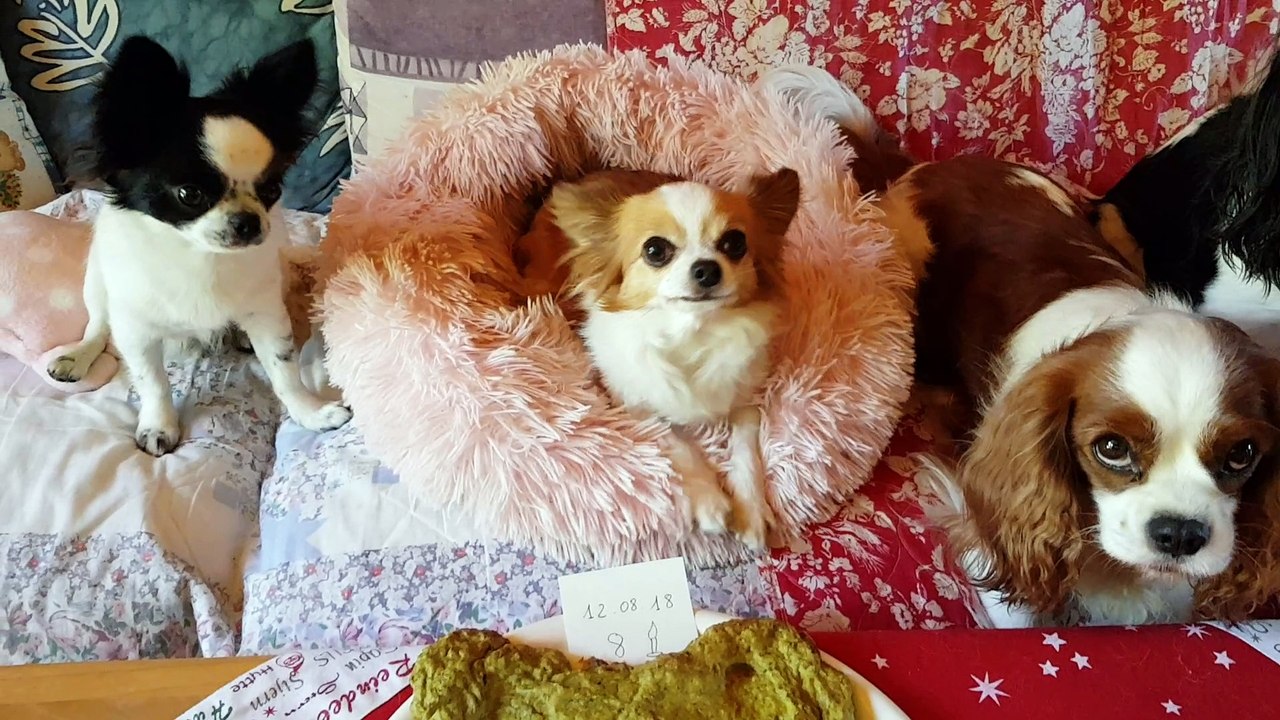 Joyeux Anniversaire Frou Frou