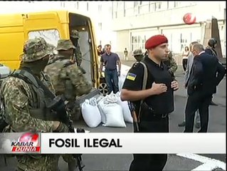 Ukraina Sita 3 Ton Fosil Pohon Senilai Rp4,5 Miliar