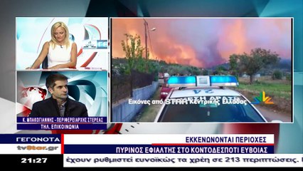 Ο Κ. Μπακογιάννης στην πυρκαγιά