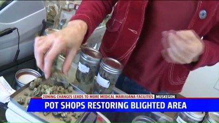 Medical Marijuana Business Works to Clean Up Run Down Neighborhood in Michigan