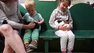 Handling the guinea pigs at Willows Activity Farm