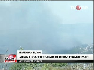 Kebakaran Hutan Cemara di Yerusalem Hanguskan 3 Rumah
