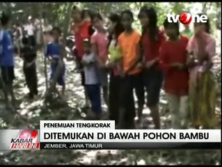 Warga di Jember Digegerkan Penemuan Tengkorak Manusia