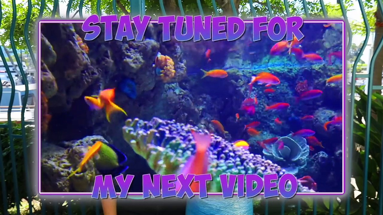 What's in the Aquarium Tank Challenge (Sharks, Stingray, Jellyfish)