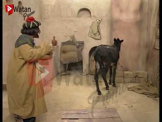 اخطاء و عثرات - عصام عبه جي و الحمار .. مضحك جدا