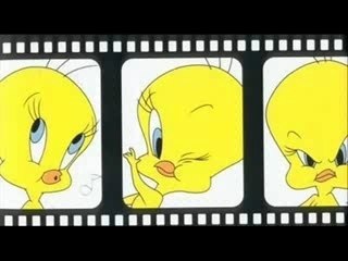 TITI ET GROS MINET
