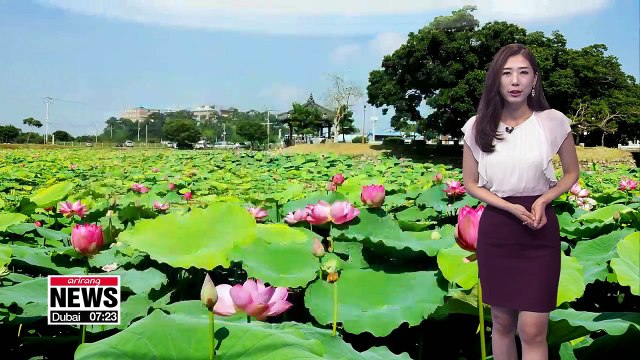 Searing heat to continue with a chance of passing showers _ 081318