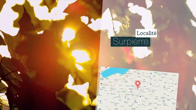 A vendre - Maison - Surpierre (1528) - 5.5 pièces - 160m²