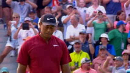 Tiger birdie completes 64 in PGA final round