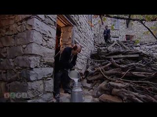 عم تحلب الطاق طاقين البقرة بعد ما شافت العجل وجودة هستر  - ضيعة ضايعة