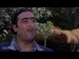 احلا خمسة مشاهد لجودة ابو خميس - top 5 - 1 - HD