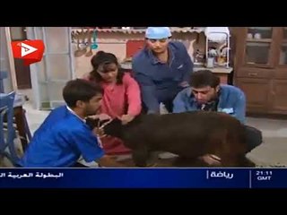 شفيق وبديع سرقو معزاية ليعملو رز بحليب - مشهد مضحك من مسلسل عيلة سبع نجوم