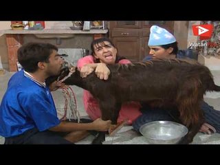 باسم ياخور وايمن رضا مشهد سرقة المعزاية - عيلة سبع نجوم HD