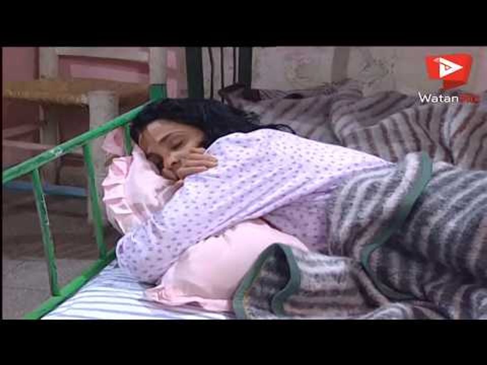 تعدد الزوجات ممكن يكون مفيد عند عفيف -  شادي زي...