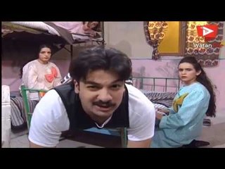 عفيف ونسوانو المجانين  - شادي زيدان  - عيلة سبع نجوم