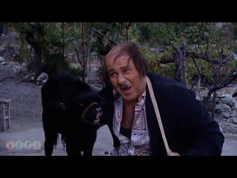 بلفني ابن هالبيسة - مقطع مضحك لجودة واسعد - ضيعة ضايعة HD