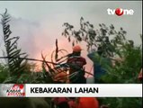 Api Kebakaran Lahan Dekati Taman Nasional Tahura Jambi