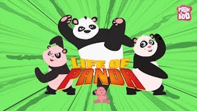 Life Of Panda - The Dr. Binocs Show | Best Learning Videos For Kids | Peekaboo Kidz