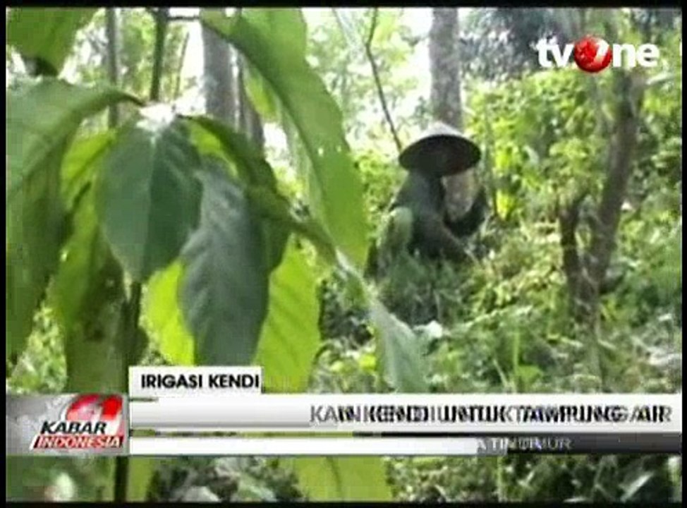Warga Jember Tanam Kendi Sebagai Sarana Irigasi