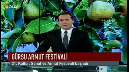 Gürsu armut festivali