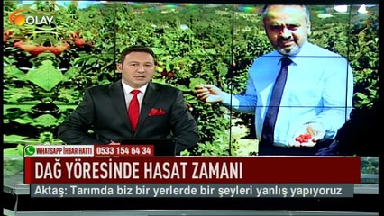 Dağ yöresinde hasat zamanı